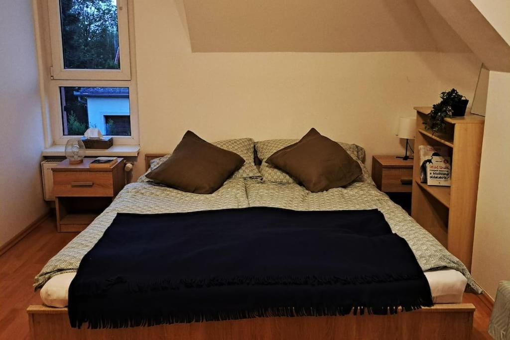 Zoeld Orom Apartman Lakas Göd 외부 사진